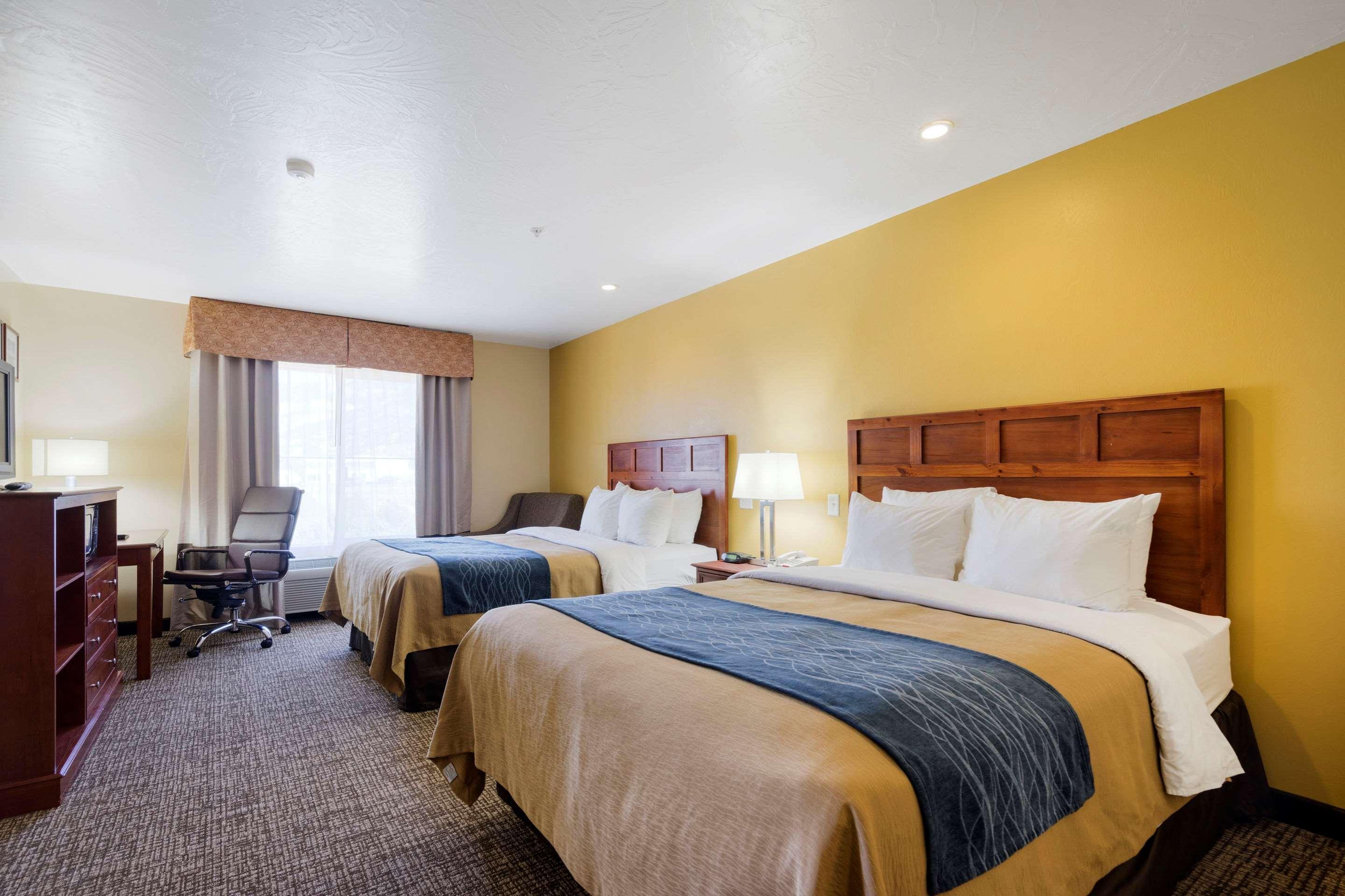 Comfort & Hotel