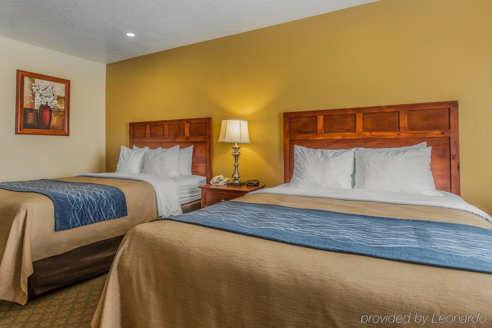 Comfort & 3* Cedar Stadt