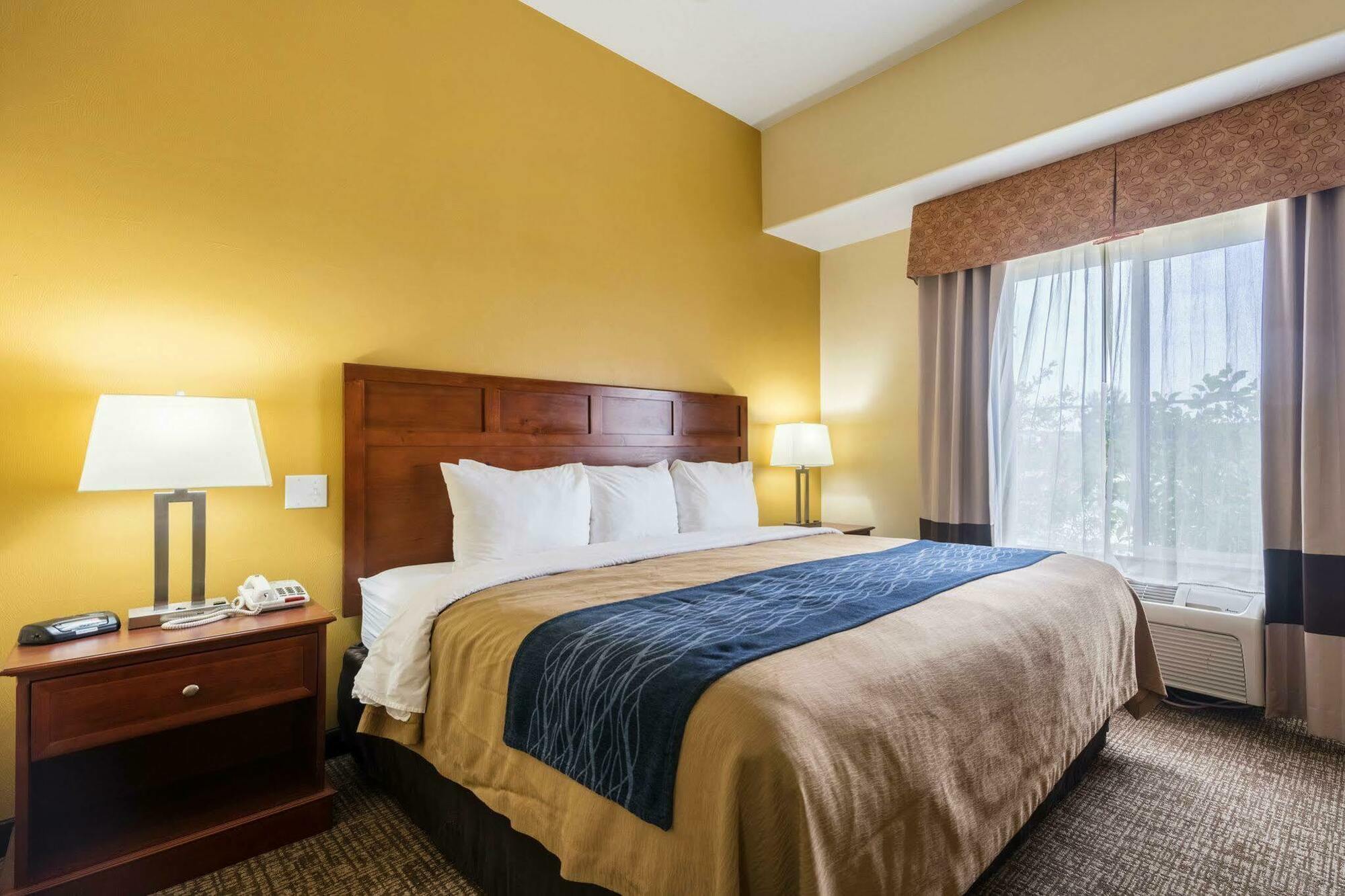Comfort & Hotel